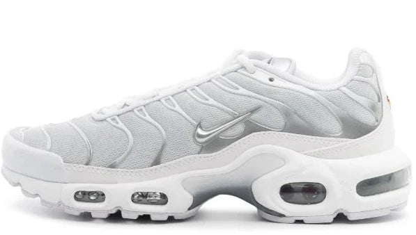 Air Max TN “2 tone silver “