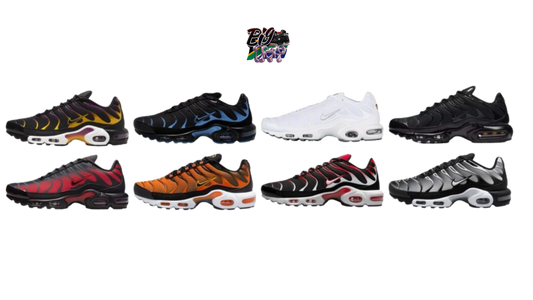 2 X AIRMAX PLUS TN